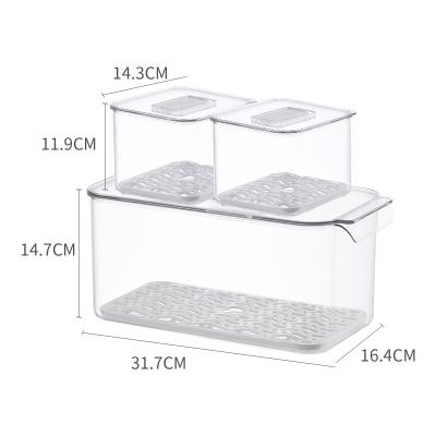 China 2021 Hot Selling Airtight Clear Plastic Freshness Preservation Kitchen Refrigerator Food Storage Containers for sale