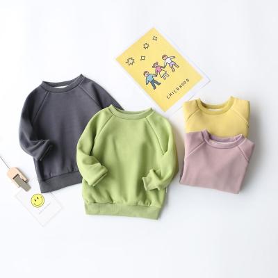 China Custom Anti-Shrink Plain Cotton Polyester Children Winter Heavy Hoodie Crewneck Pullover Baby Boy Kids Sweatshirts for sale