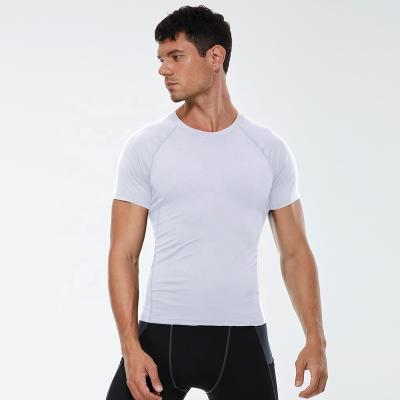 China Anti-Wrinkle Fitness Clothes Sweat Wicking T-Shirt High Elasticity Training Gym Fitted T Shirts Men for sale