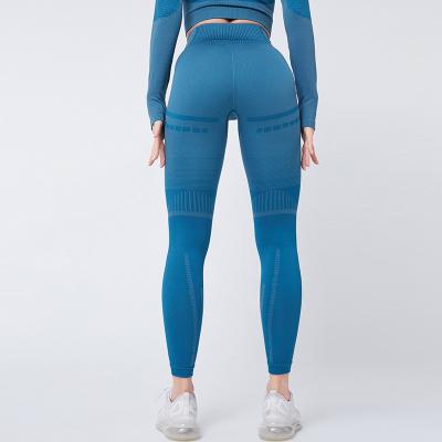 China USA Ladies Gaiters Sex Picture Women Breathable Sexy Yoga Pants Seamless For Women Girls for sale