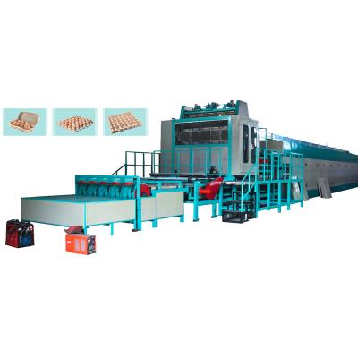 China Egg Packing Shop Machine For Making Egg Tray Cardboard Paper Egg Tray Plastic Egg Tray for sale