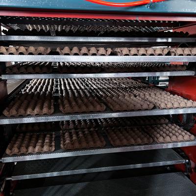 China Automatic Paper Egg Tray Egg Packing Shop Egg Cartoner Plastic Egg Tray Making Machine for sale