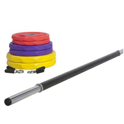 China Cheap Price Steel Dumbbell Bumper Plate Weighs Body Barbell Set With Hot Sale for sale