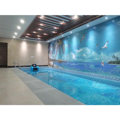 China 24V Wall Mounted MIG-25 Steel Joint Acrylic Shell+Stainless With Current Double Motor Counter Swimming Training Machine for sale