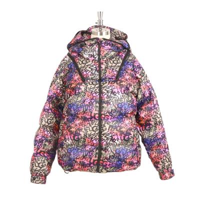 China Waterproof Alephan New Design Winter women hooded zipper Down Jacket Custom  Waterproof Feature Fabric jacket women for sale