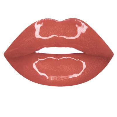 China Best Selling Vegan Vegan Lip Gloss Waterproof Selling Liquid Lip Gloss Nude Gloss Low Gloss Custom Logo 20 Colors High Gloss Dye Clear Moq for sale