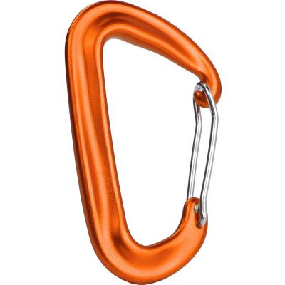 China Portable New Outdoor Climbing Load Bearing Buckle D-Shape Heavy Duty Spring Clip Snap Dog Hook Aluminum Carabiner for sale