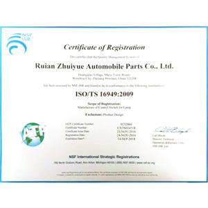 Verified China supplier - Ruian Zhuiyue Auto Parts Co., Ltd.