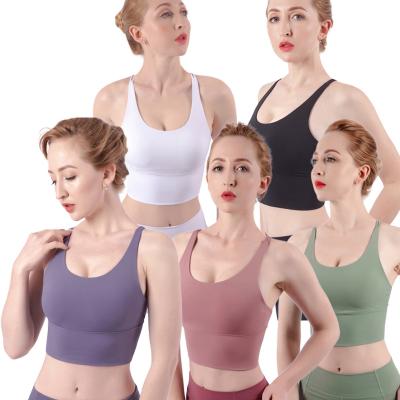 China 2022 Brand New Women's Seamless Active Soft Compression Bra Antibacterial Retro Yoga Antibacterial Sports Tank Top With Removable Cups for sale