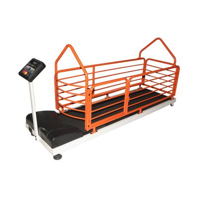 中国 Treadmill Dog Dog Treadmill For Sale Dog Treadmill Pet 販売のため
