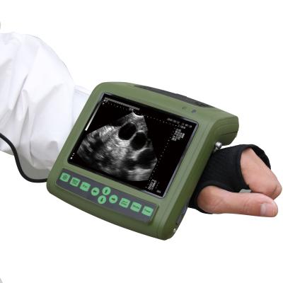 China Mini Dog Pregnancy Scan Machine Physiotherapy Portable Ultrasound Te koop