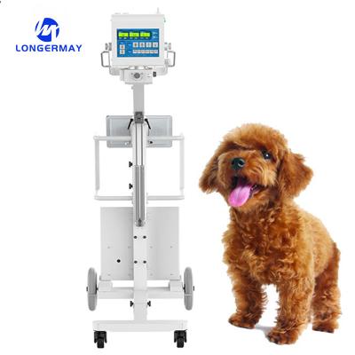 China Digital Portable Veterinary Medical Devices Animal X Ray Machine Te koop