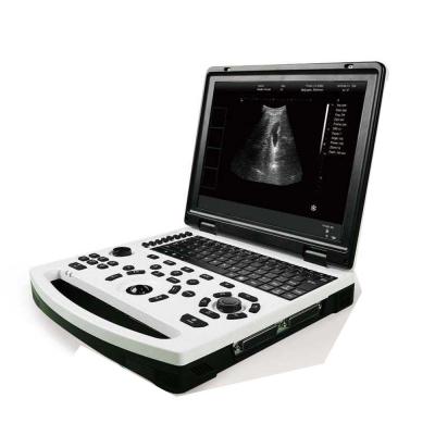 Κίνα B&W Veterinary Portable Ultrasound Scanner Wireless Ultrasound Scanner προς πώληση