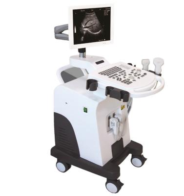 中国 LED Color Ultrasound Scanner Machine 2 USB Ports B&W  Electric 販売のため