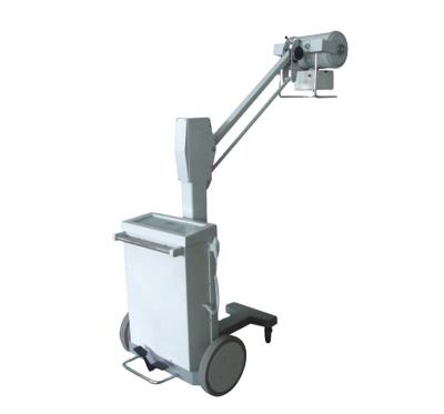 China Electric Portable X Ray Equipment Veterinary Digital Radiography Systems 100mA Te koop