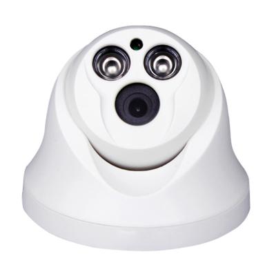 China Waterproof / Indoor Outdoor Waterproof 1080P Network Night Vision IP66 Mini Dome IP Camera In Promotion for sale