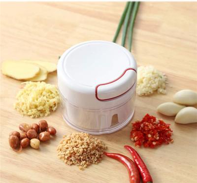 China Viable Factory Kitchen Mini Manual Onion Chili Garlic Crusher Food Ginger Garlic Chopper Wholesale for sale