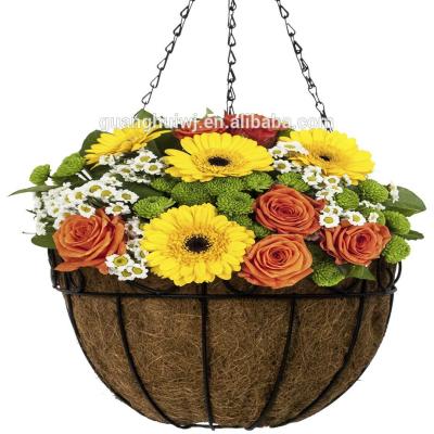 China Indoor Planter Flowers Scrolled Wrought Iron Hanging Planter for sale