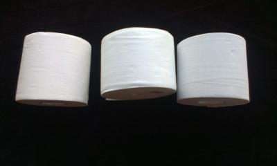 China 2ply recycle Toilet Tissue roll, bath tissue, toilet paper for sale