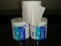 China 2ply Toilet Tissue roll, bath tissue, toilet paper for sale