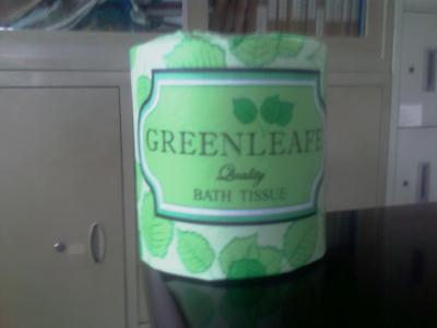 China Green leafe 2ply recycle Toilet Tissue Paper for sale