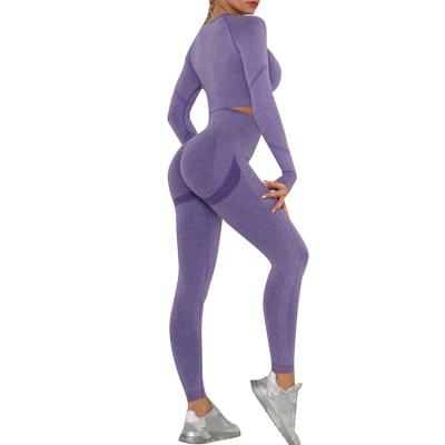 China High Quality Purple Anti-UV Seamless Knit Wide Waistband Sports Suit Women Fashion Two Piece Women Yoga Equipment Set for sale