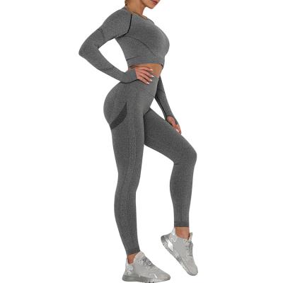 China Anti-UV Women Butt Lifter Two Piece Gaiters Long Sleeve Seamless High Rise Stylish Design Women Yoga Equipments for sale