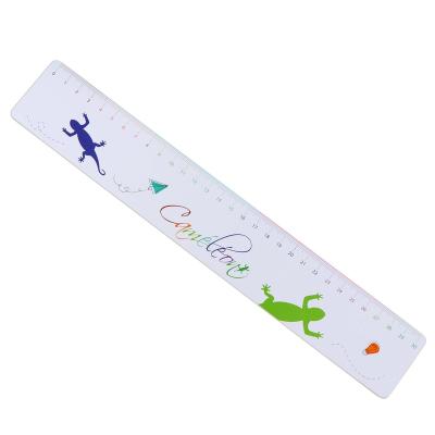 China Customized Design Wear Resistant Unique Rectangle Student's Length Measurement Clear Straight Rulers for sale