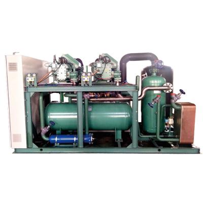 China Low Temperature Compressor Refrigeration Unit Paralleled Screw Freezer Unit for sale