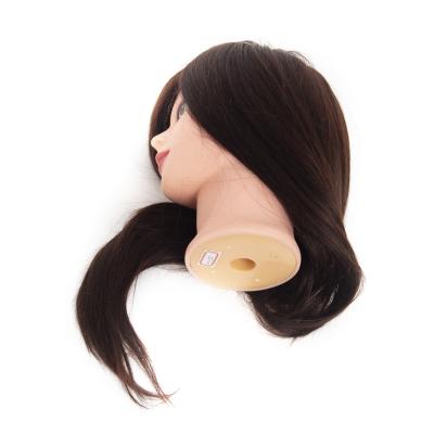 China Cosmetology Manikin Head Head Mixed Head Hairdresser Mixed Hairdresser Mannequin Haircut Training Model Haircut Training Model for sale