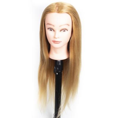 China Cosmetology Mannequin Heads Hot-sell Mixed Hair Training Heads For Haircuts And Braided Hair With Dummy Heads for sale