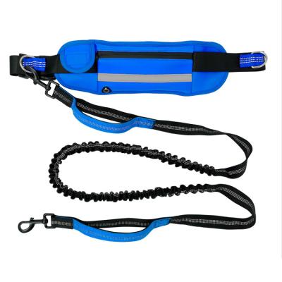 China High Quality Bungee Free Thoughtful Holding Belt Quick Release Hands Working Walking Dog Training Leash for sale