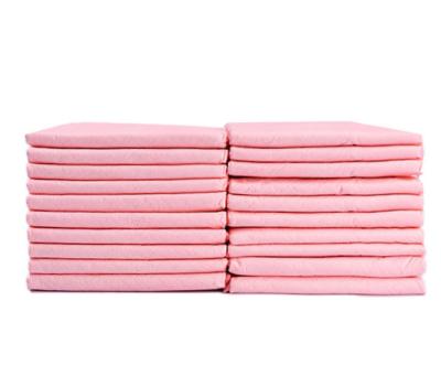 China Viable Blue Pink Soft and Comfortable Pet Cheap Potty Pads Cats and Dogs Protective Care Disposable Changing Diapers for sale