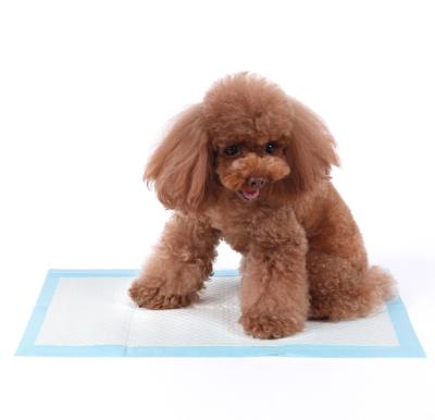 China China Hangzhou Best Selling Viable Supplier Small Pet Training Puppy Pads Dog Sanitary Pads Pee for sale