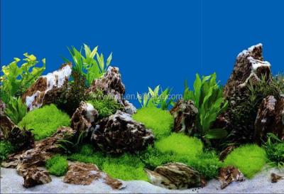 China Viable Custom Plastic Aquarium Background Painting Pictures for sale