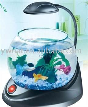 China mini desktop mini aquarium /LED glass aquarium mini fish tank TG-02 for sale