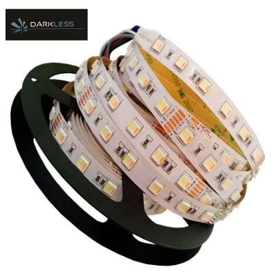 China High quality indoor hotel decoration IP20 IP65 RGB waterproof lighting SDM5050 60leds DC12V 14.4W led strip for sale