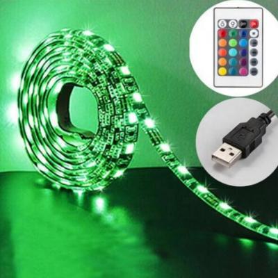 China High Quality Home IP20 IP65 Waterproof SMD3528 30LEDS DC12V/24V 2.4W/M Flexible Light Strips for Home/Party/Bar/Christmas Decoration for sale