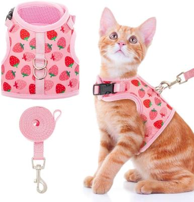 China Lovely Print Viable Strawberry Mesh High Quality Pet Dog Cat Harness Soft Air With Leash Set for sale