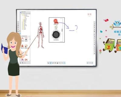 China School Teacher 83 Inch 20 Point Writing Board Interactive Tips Interactive Whiteboard for sale