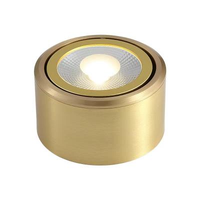 China Surface Mounted Gold Adjustable Recessed Wall Modern Spotlight Led Indoor Ceiling Light for sale