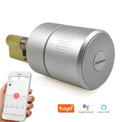 China Airbnk Smart European Keyless Fingerprint Fingerprint Smart Fingerprint Home Office Hotel Residence Lock Cylinder Alexa Google Home WiFi Digital App Tuya BT Zigbee TTlock Smart Door Lock for sale