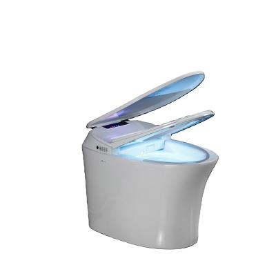 China Automatic operation factory direct sales hardware china intelligent smart home toilet for sale