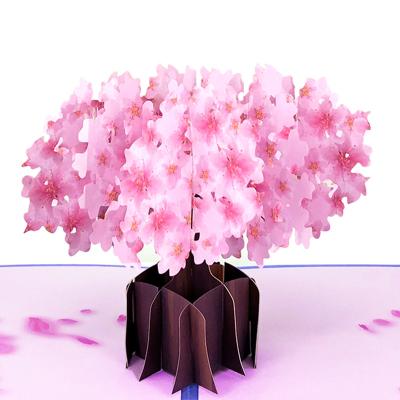 China Europe Get Well Soon Cherry Blossom 3d Pop Up Gift Vouchers for sale