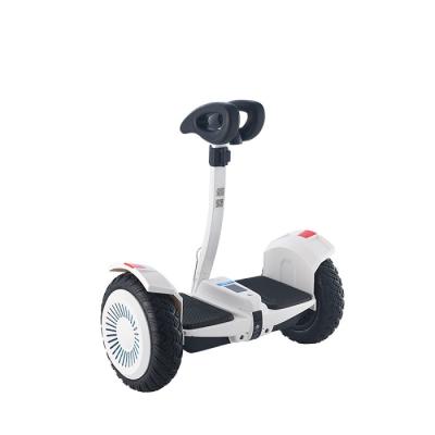 China Steel Adults Balance Electric Bicycle 36v 700w Self Balancing Bicycle for sale