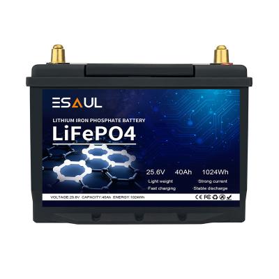 China Toys ESAUL 12V 24V 25.6v 40ah 60ah 80ah 200ah lifepo4 battery with BMS LCD for RV trolling motor for sale