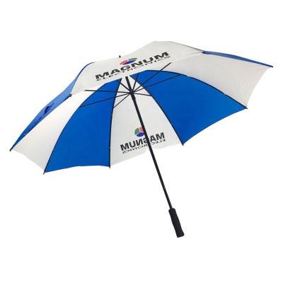 China Contemporary 30Inch Manual Open Double Ribs Promotional Golf Umbrella for sale