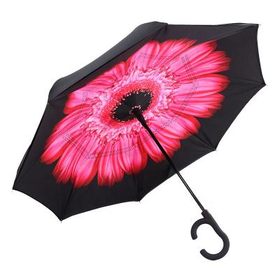 China Contemporary 23 inch straight automatic open flower printed reverse C handle umbrella with many flower designs for option for sale