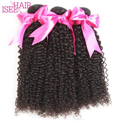 China Jerry Curl Afro Kinky Curly Brazilian Weave Hair for sale