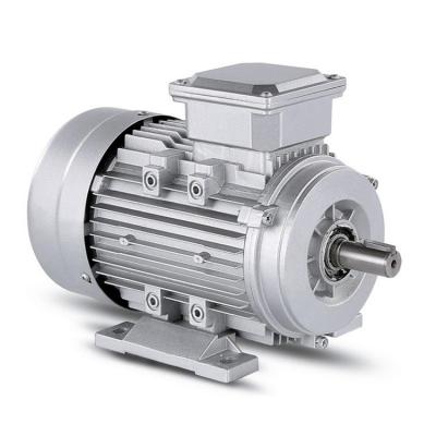 China Three Phase Induction 3 Phase Brushless Y3 Series AC Three Phase Electric Motor YE3-160L-2 for sale